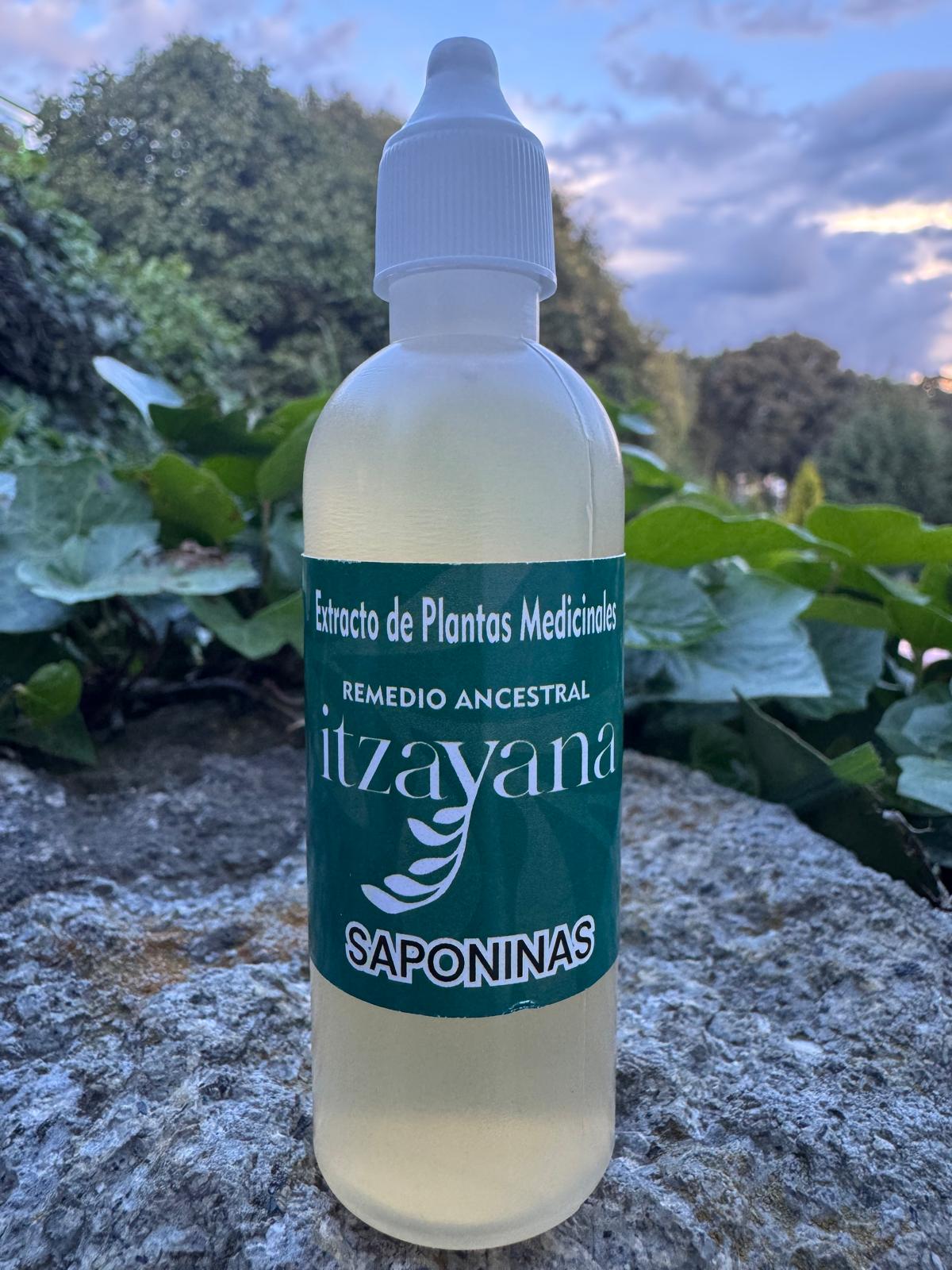 ITZAYANA - SAPONINAS - Itzayana