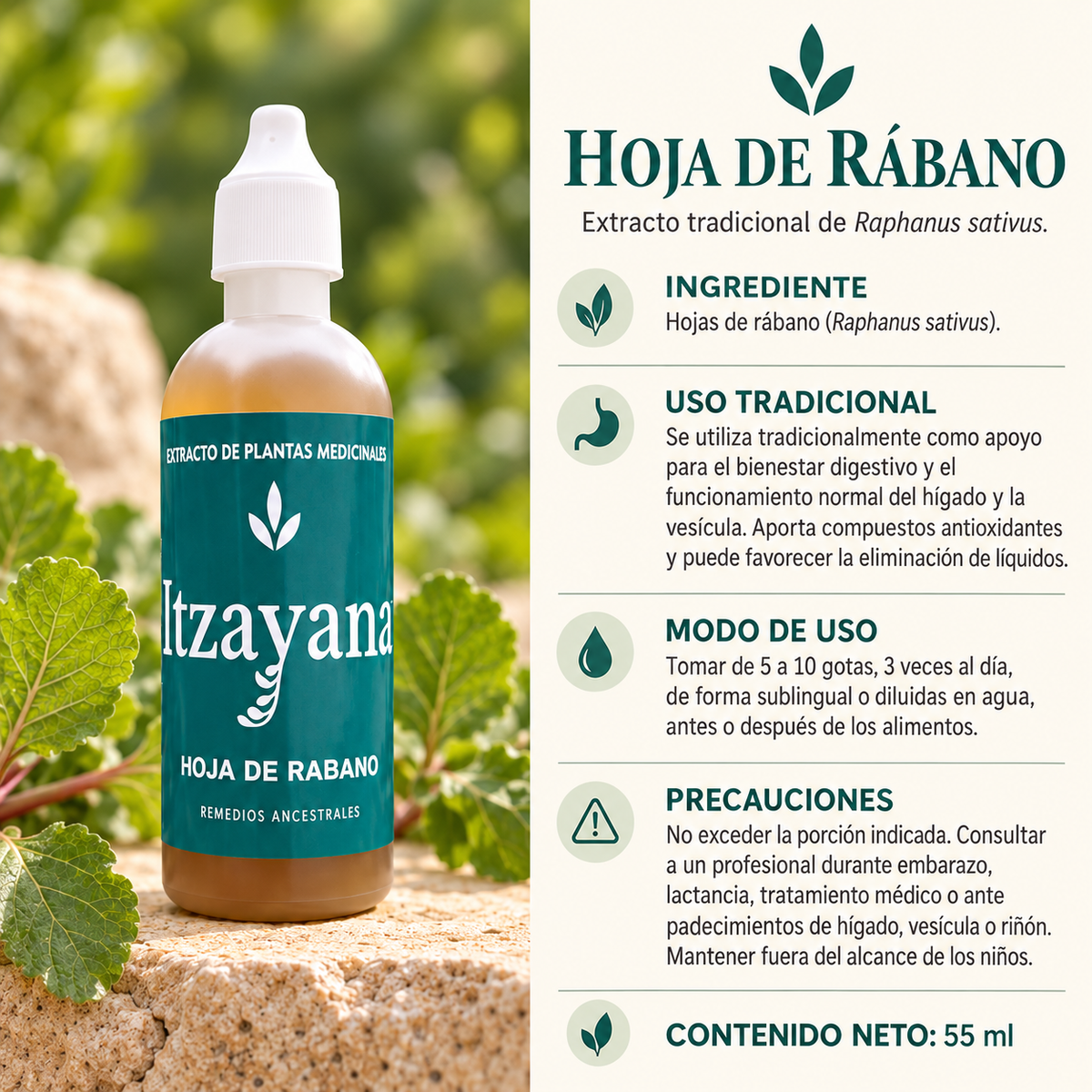 TINTURA DE HOJAS DE RABANO