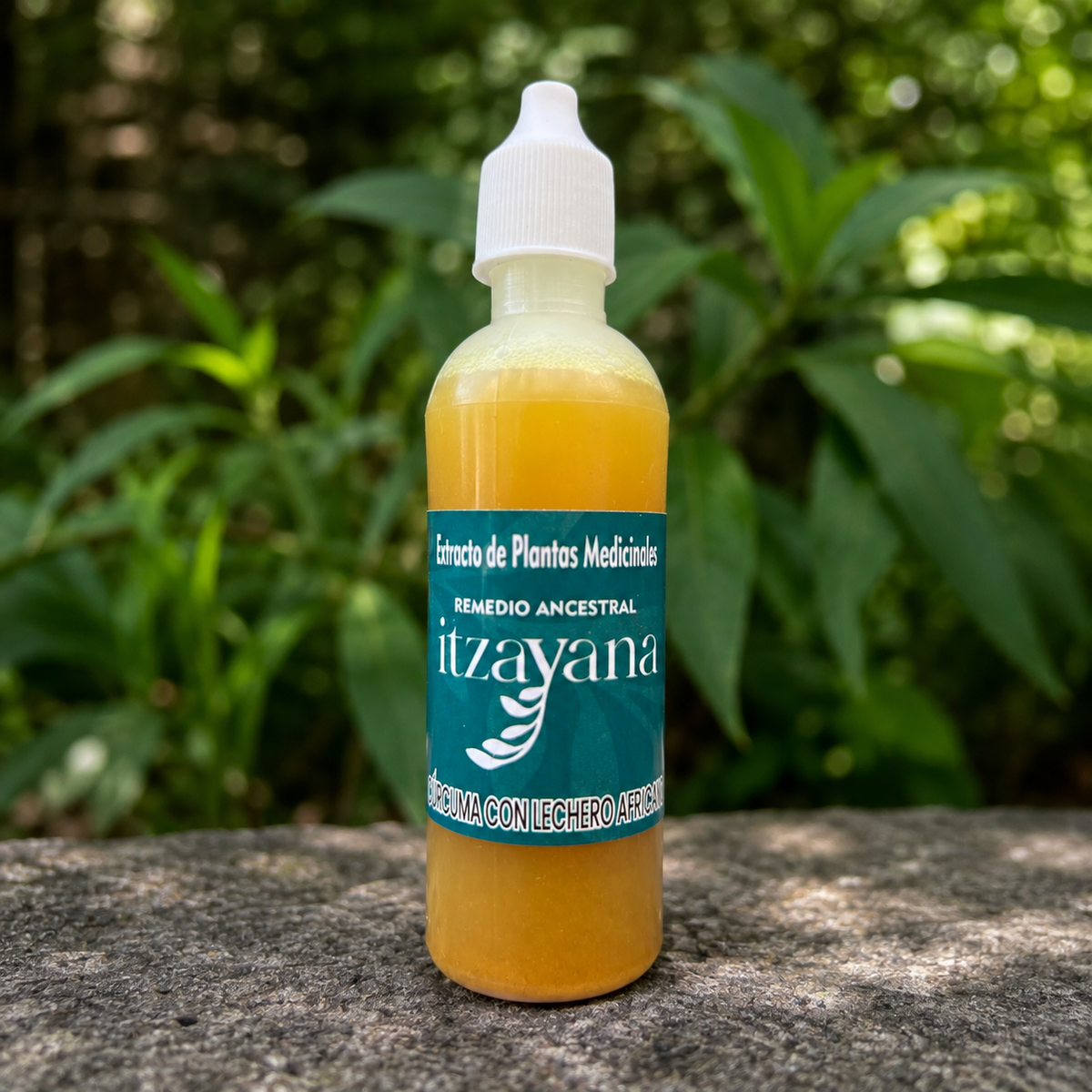 ITZAYANA - TINTURA DE LECHERO CURCUMA