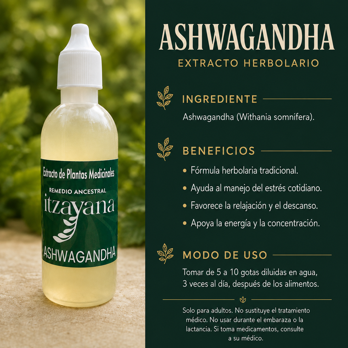 ITZAYANA-TINTURA DE ASHWAGANDHA