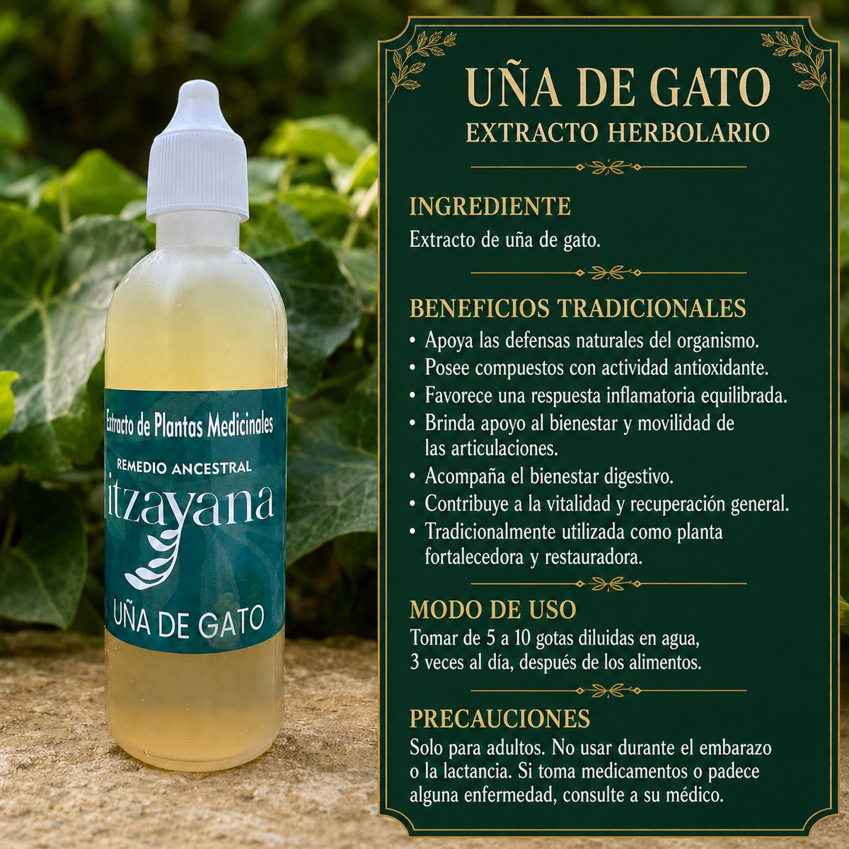 UNA DE GATO