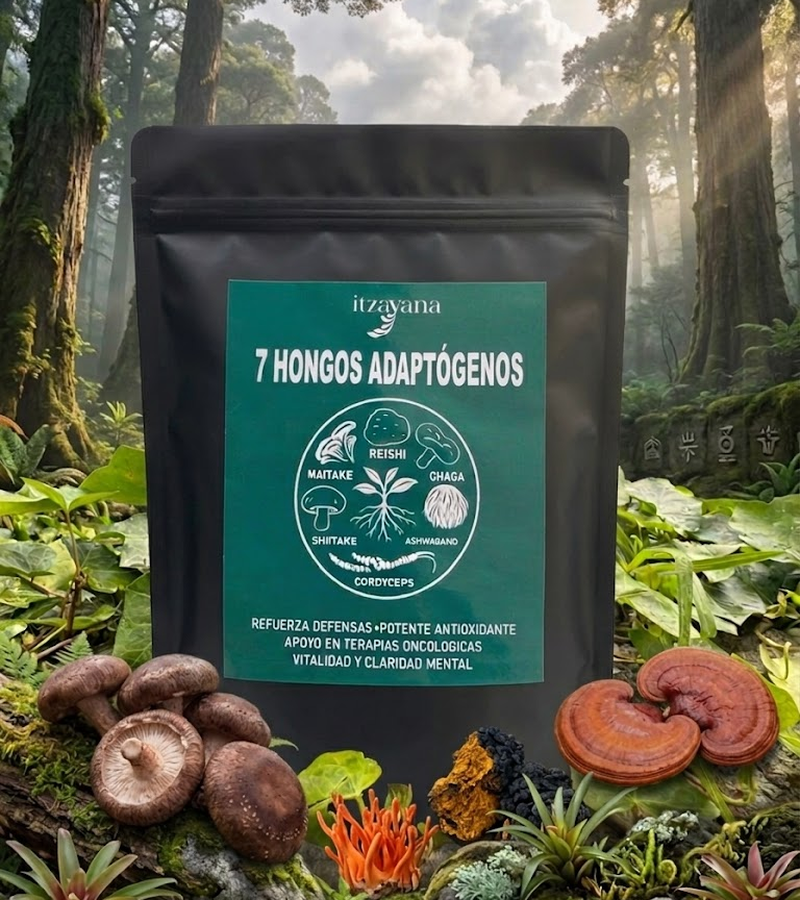 ITZAYANA- 7 HONGOS ADAPTOGENOS