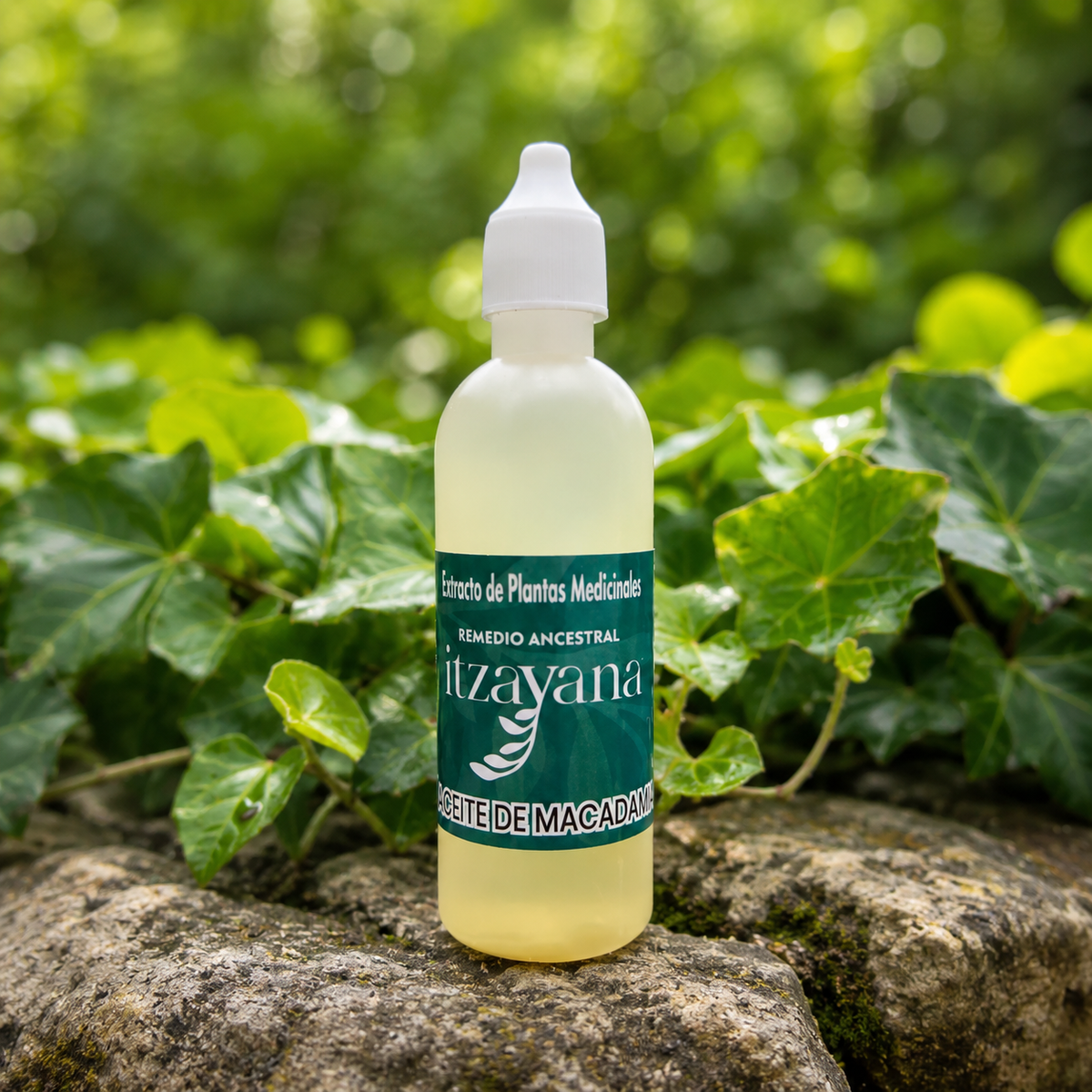 ITZAYANA - ACEITE ARTESANAL DE MACADAMIA - Itzayana