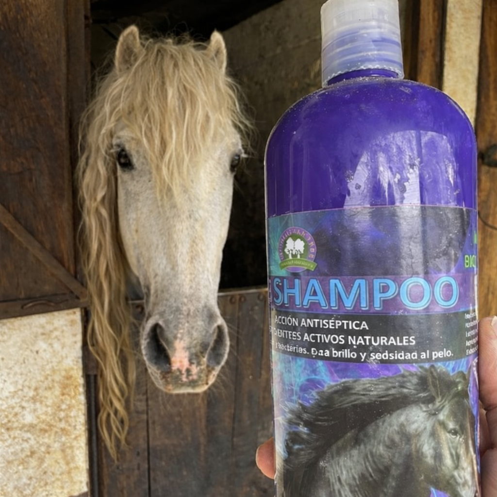 SHAMPOO PARA EL CABELLO