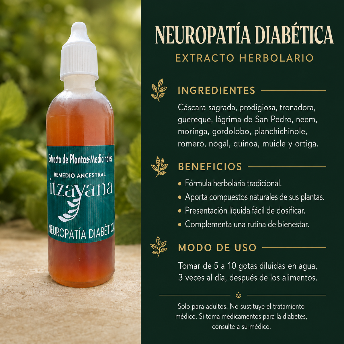 TINTURA NEUROPATIA DIABETICA