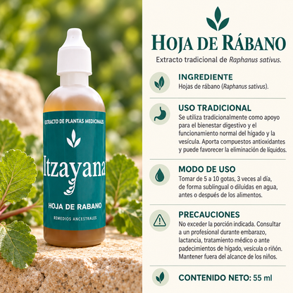 TINTURA DE HOJAS DE RABANO