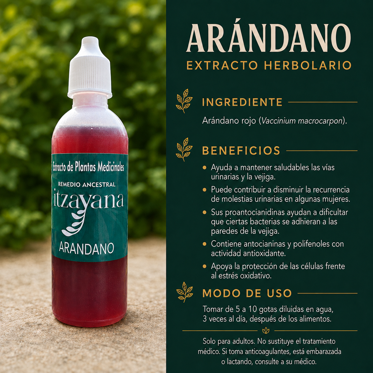 ITZAYANA TINTURA DE ARANDANOS