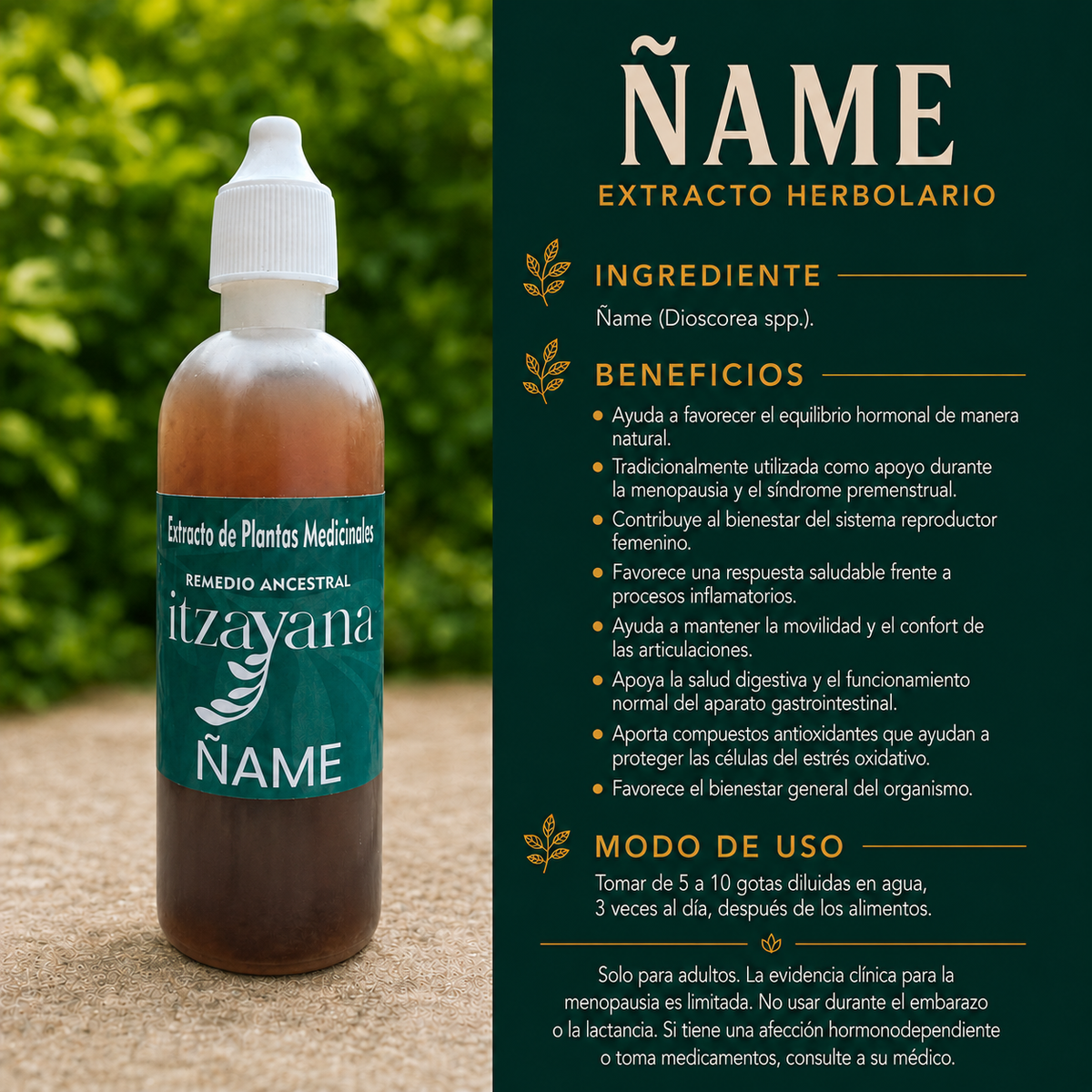ITZAYANA- TINTURA DE NAME