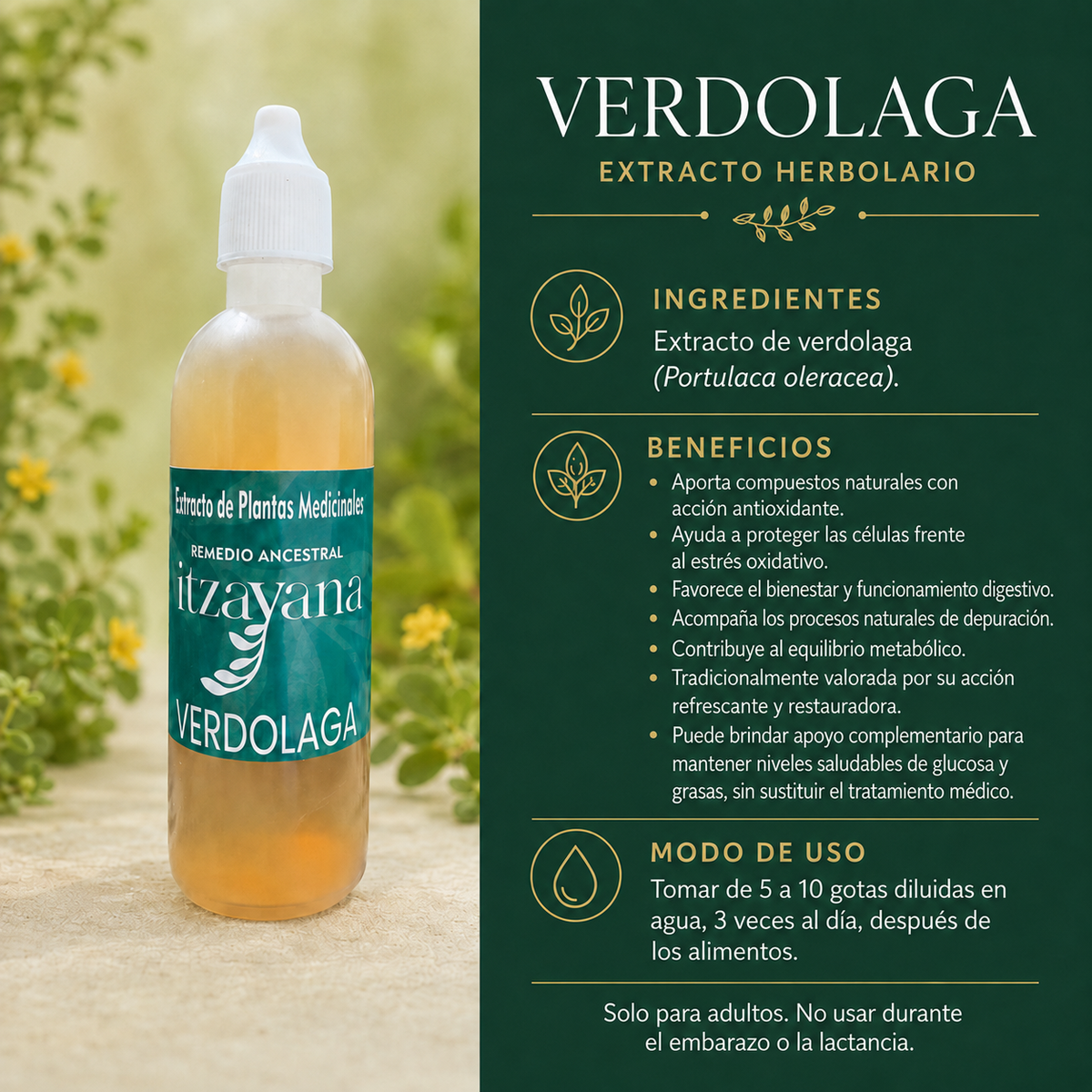 ITZAYANA-TINTURA DE VERDOLAGA