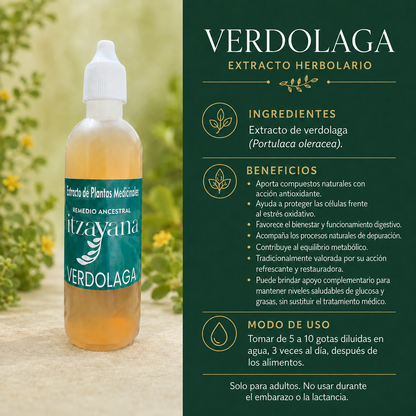ITZAYANA-TINTURA DE VERDOLAGA