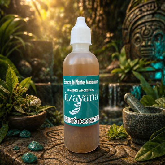 ITZAYANA - ANTIBIÓTICO NATURAL