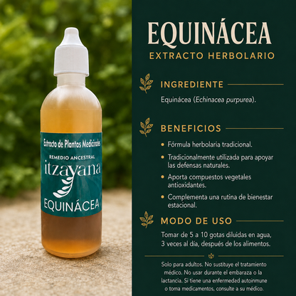 ITZAYANA-TINTURA DE EQUINACEA