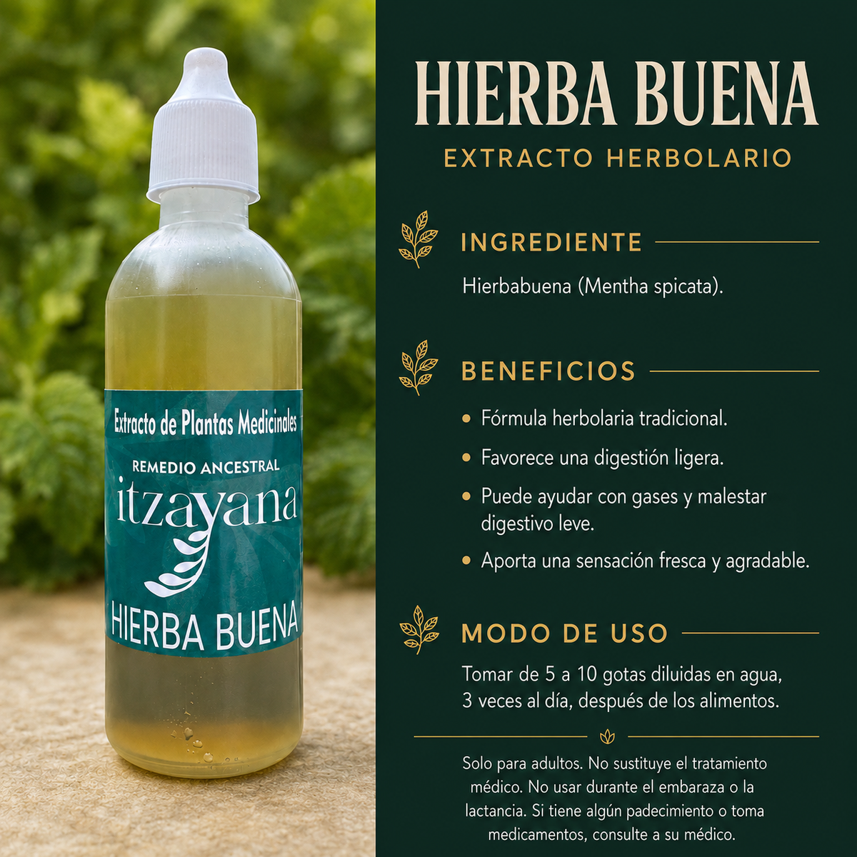 TINTURA DE HIERBABUENA