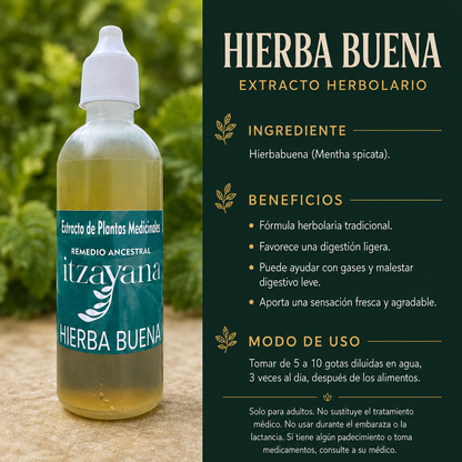 TINTURA DE HIERBABUENA