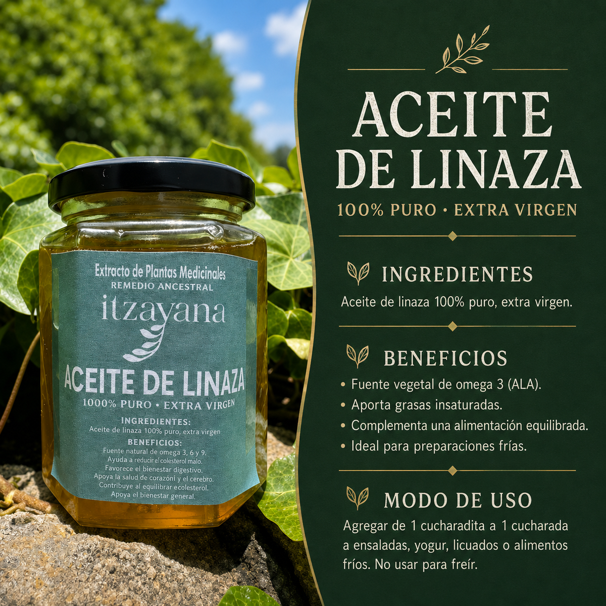 ITZAYANA-ACEITE DE LINAZA 100% PURO