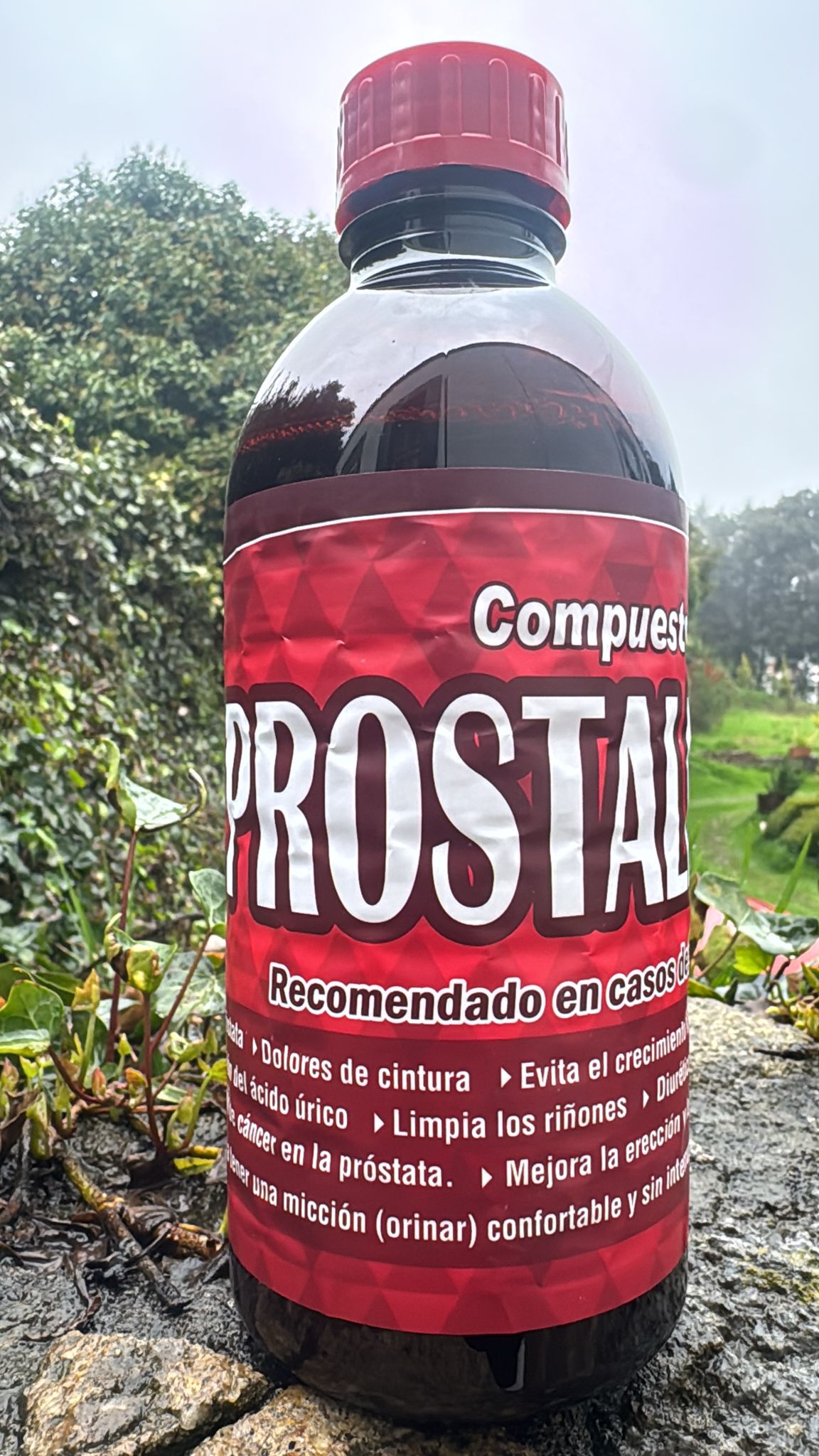 SUPLEMENTO ALIMENTICIO PROSTALIT