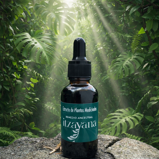 ITZAYANA-ACEITE DE CN - Itzayana