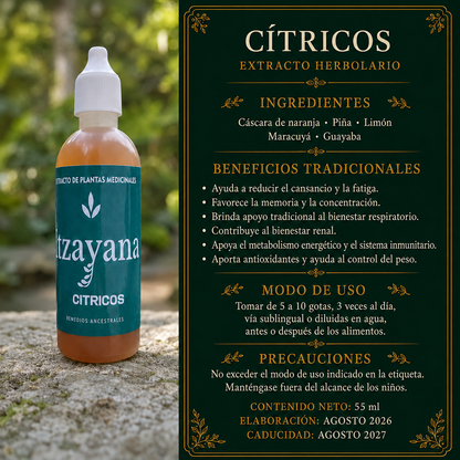 TINTURA de Cítricos – Energía, Defensas y Antioxidantes