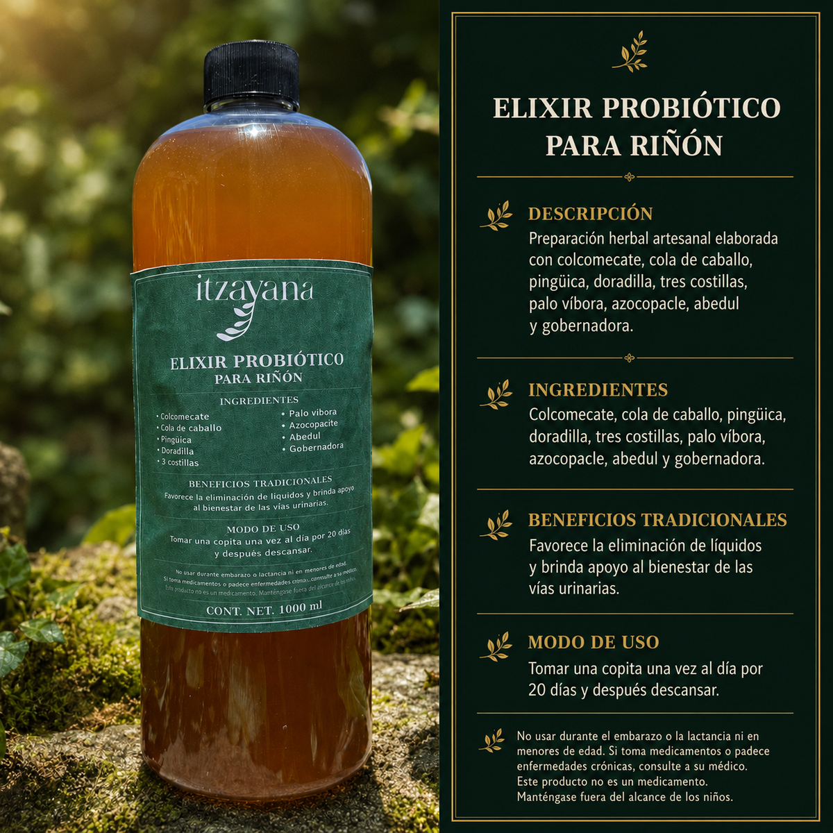 ITZAYANA- ELIXIR PROBIOTICO PARA RINON
