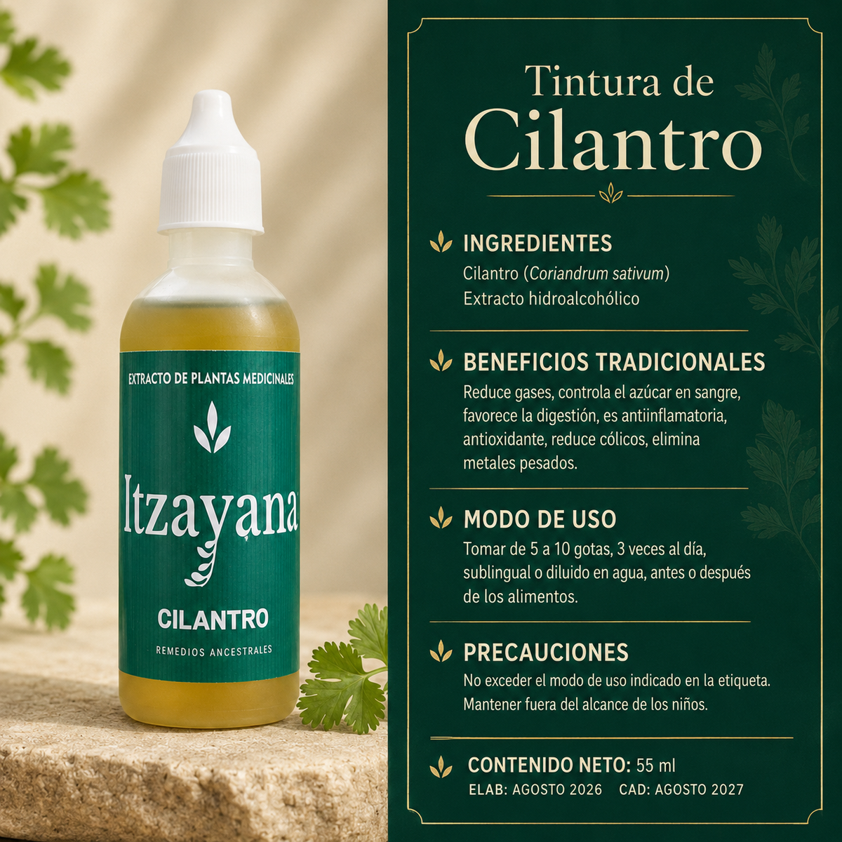 TINTURA DE CILANTRO