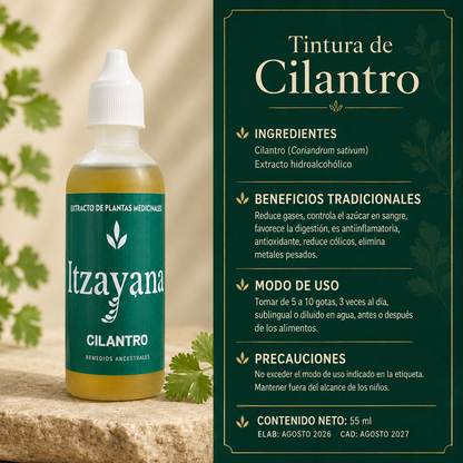 TINTURA DE CILANTRO