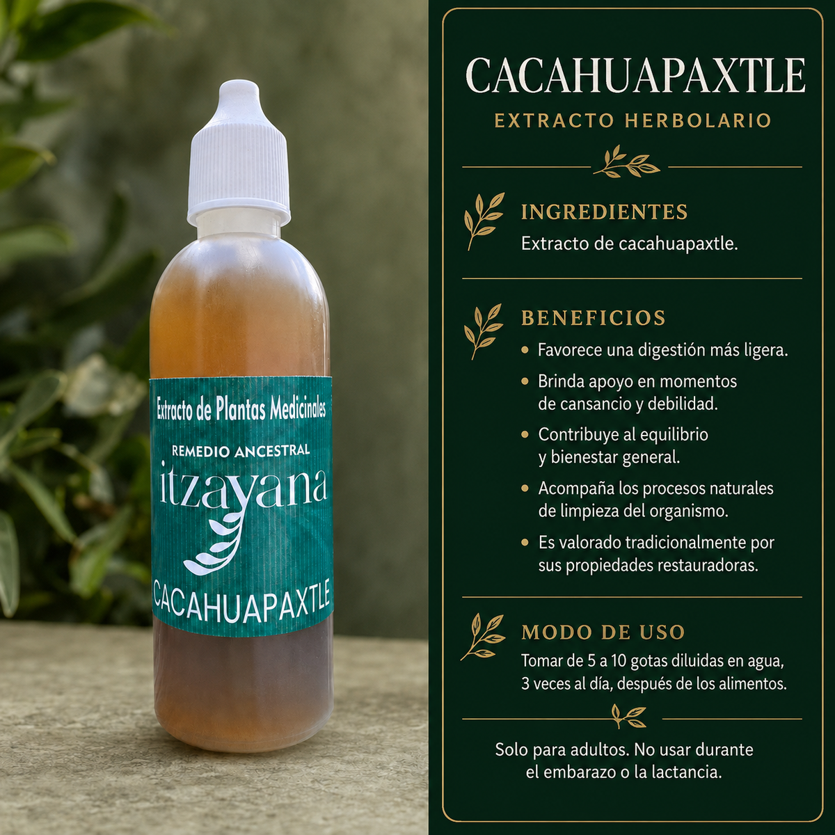 ITZAYANA-TINTURA DE CACAHUAPAXTLE