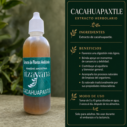 ITZAYANA-TINTURA DE CACAHUAPAXTLE