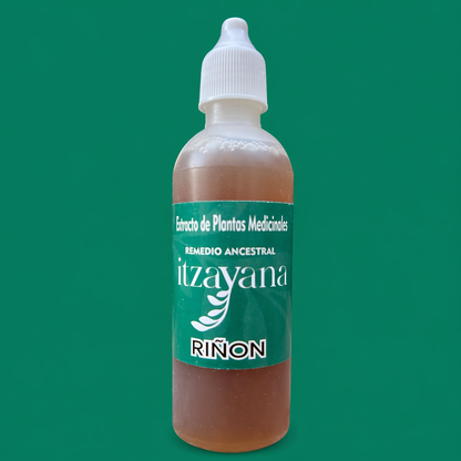 ITZAYANA - TINTURA PARA RIÑON EN ARMONIA - Itzayana
