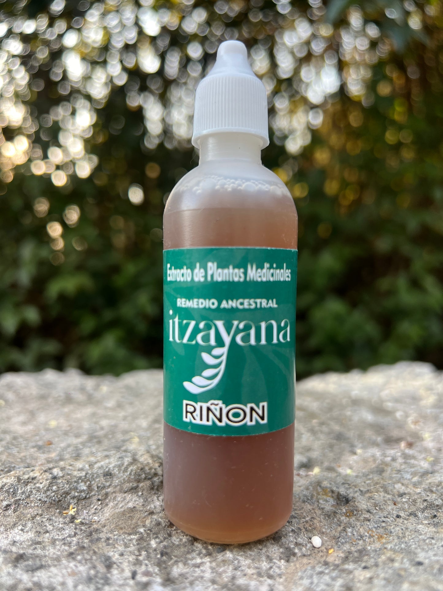 ITZAYANA - TINTURA PARA RIÑON EN ARMONIA - Itzayana