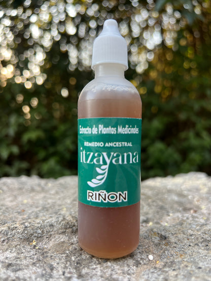 ITZAYANA - TINTURA PARA RIÑON EN ARMONIA - Itzayana