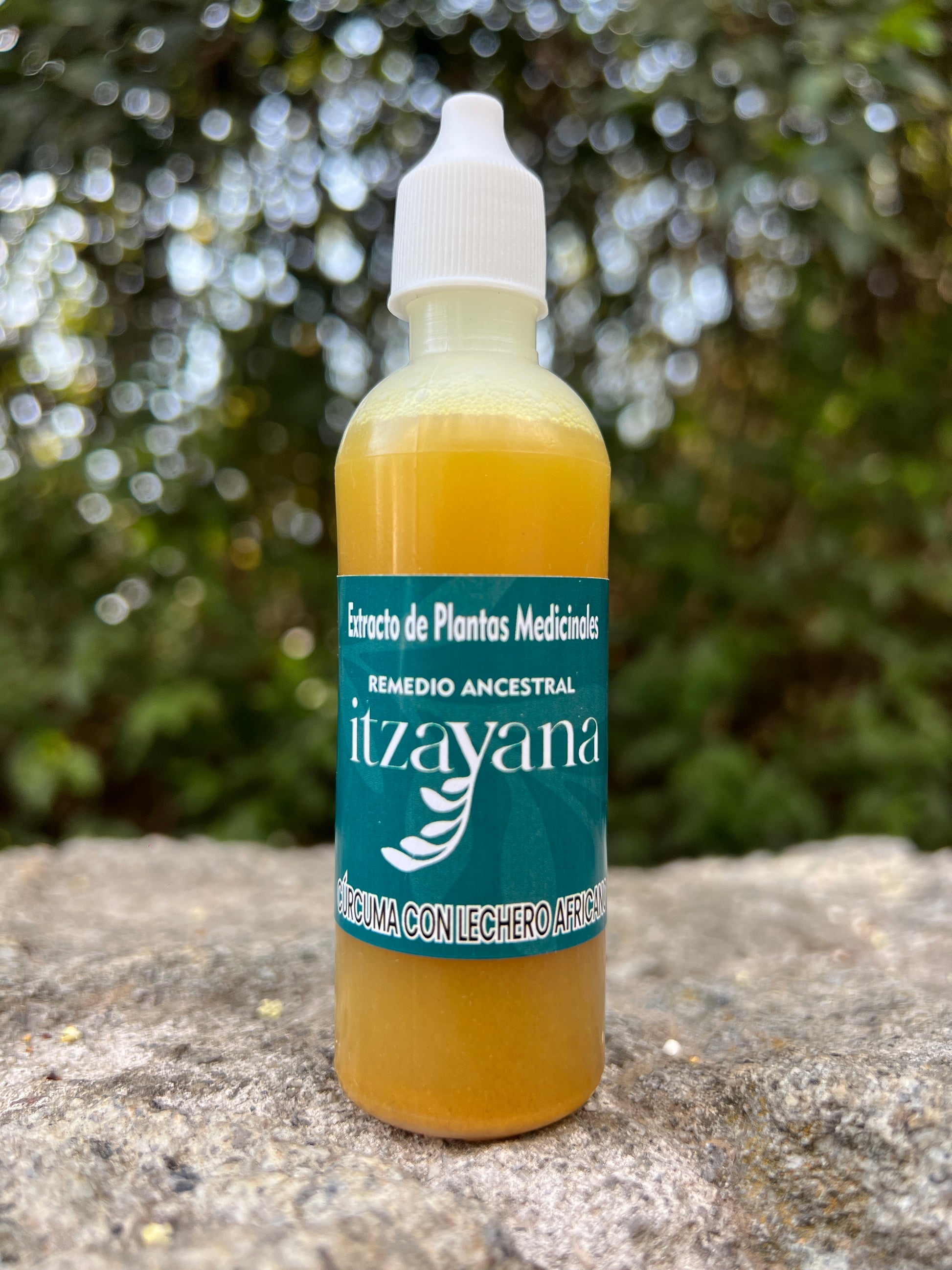 ITZAYANA - TINTURA DE LECHE CON CURCUMA - Itzayana