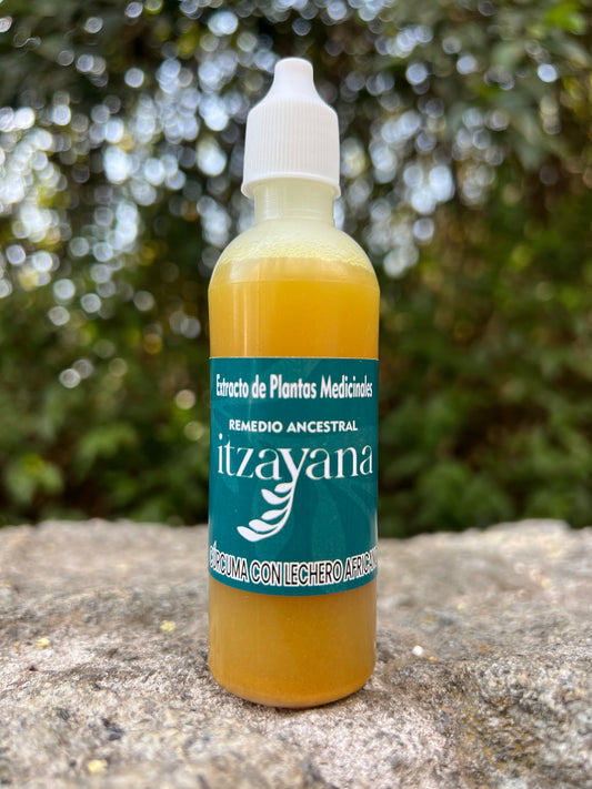 ITZAYANA - TINTURA DE CURCUMA CON LECHERO AFRICANO