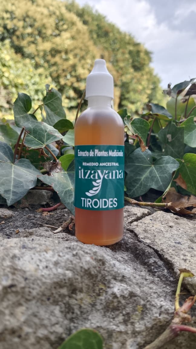 ITZAYANA · TINTURA PARA EL BIENESTAR TIROIDEO - Itzayana