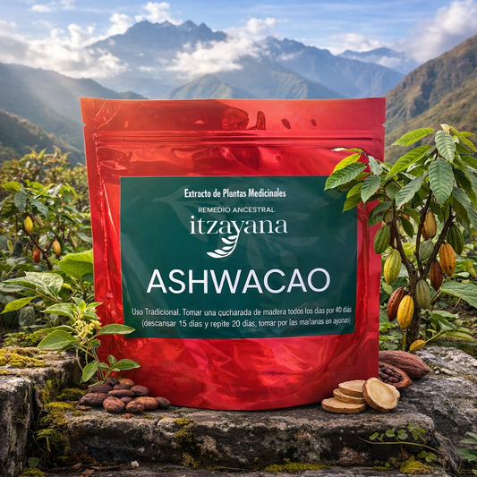 INFUSION ASHWACAO