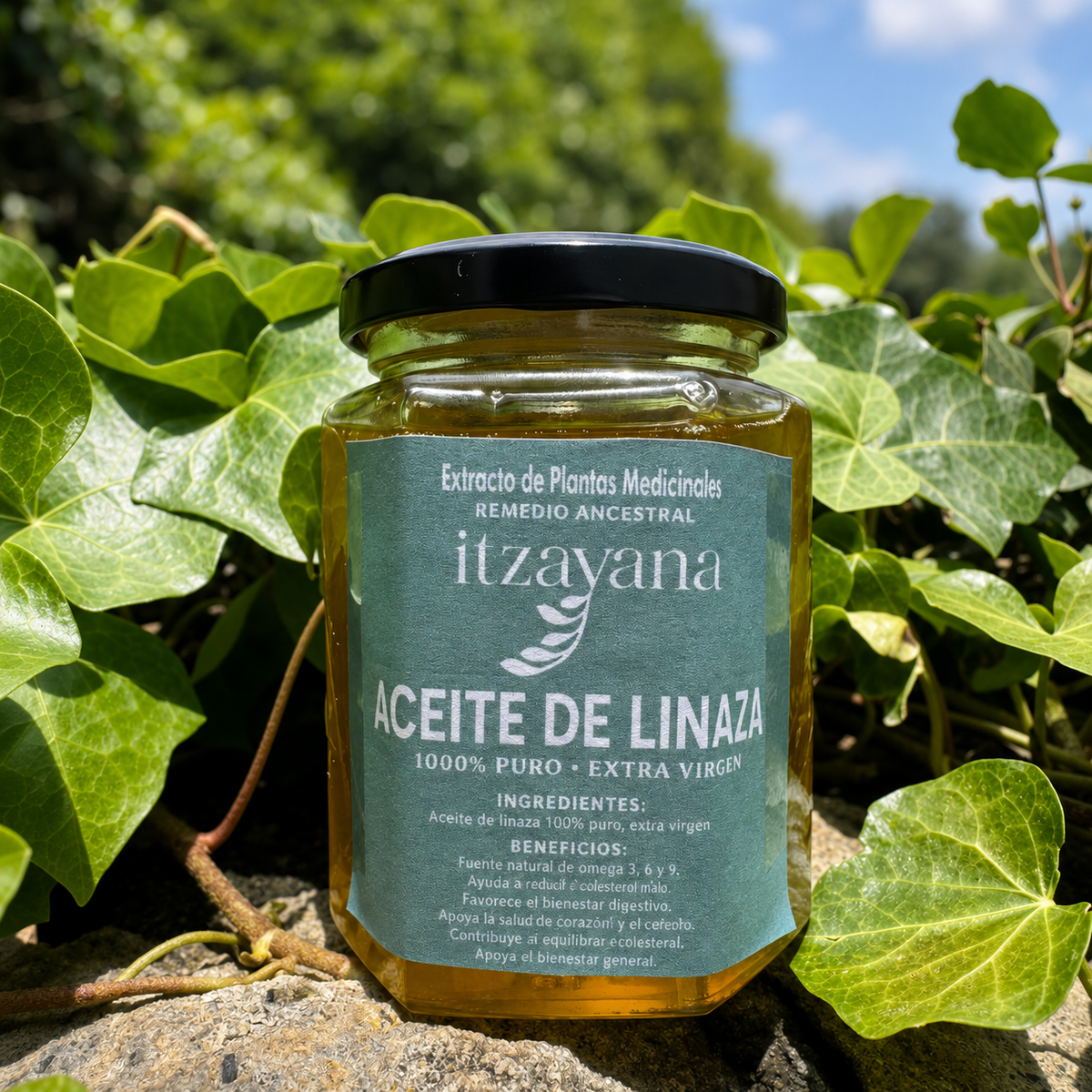 ITZAYANA-ACEITE DE LINAZA 100% PURO