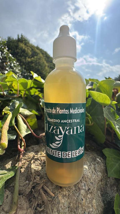 ITZAYANA - TINTURA DE DIENTE DE LEON - Itzayana